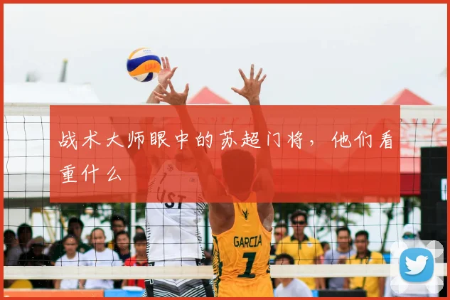 战术大师眼中的苏超门将，他们看重什么